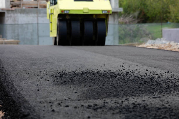 Best Best Driveway Pavers  in Lamar, TX